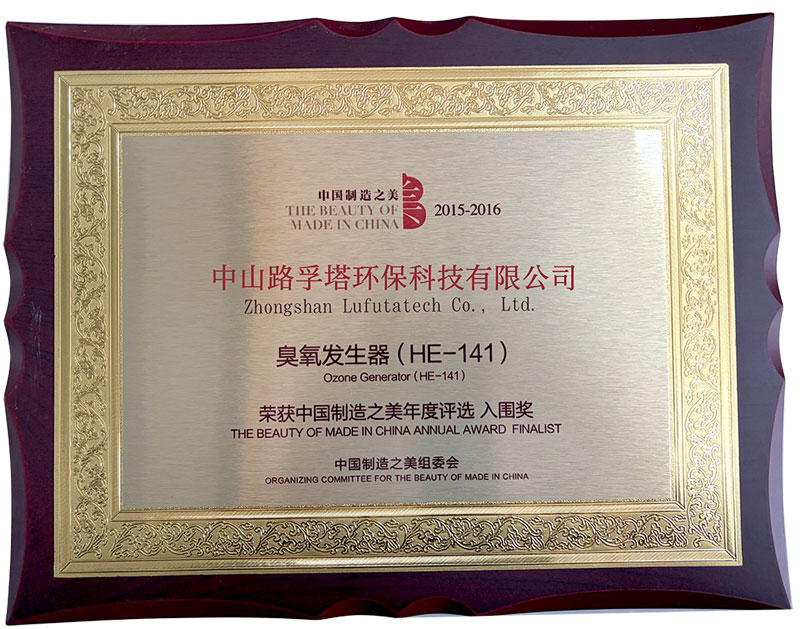 THE BEAUTY OF ADEIN GHINA