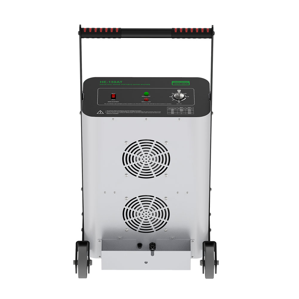 LFT-159AG Ozone generator view 10